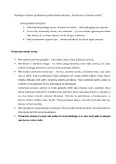Paslaugų pristatymas 13 puslapis