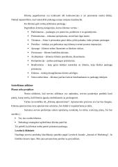 Paslaugų pristatymas 3 puslapis