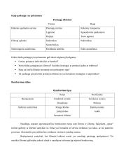 Paslaugų pristatymas 4 puslapis