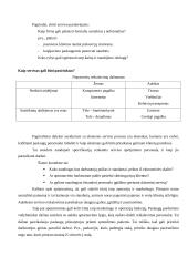 Paslaugų pristatymas 5 puslapis