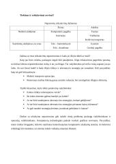 Paslaugų pristatymas 6 puslapis