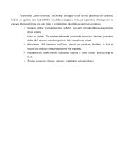 Paslaugų pristatymas 9 puslapis