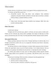 Paslaugų pristatymas 10 puslapis