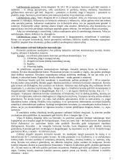 Pastatai ir inžineriniai statiniai 2 puslapis