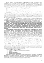 Pastatai ir inžineriniai statiniai 3 puslapis