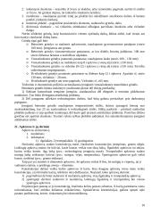 Pastatai ir inžineriniai statiniai 10 puslapis