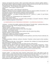 Pedagogikos egzamino informacija 12 puslapis