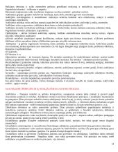 Pedagogikos egzamino informacija 14 puslapis