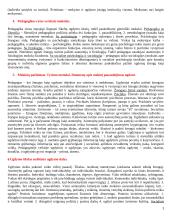 Pedagogikos egzamino informacija 3 puslapis