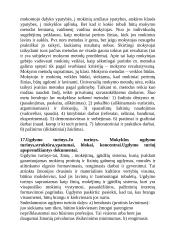 Pedagogikos teorija 19 puslapis