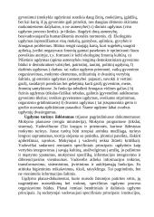 Pedagogikos teorija 20 puslapis