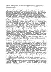 Pedagogikos teorija 6 puslapis