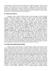 Pedagogikos ugdymo mokslas 6 puslapis