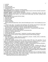 Personalo vadyba (konspektas) 12 puslapis