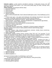 Personalo vadybos esminiai aspektai 12 puslapis