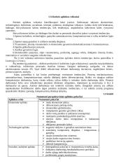Išsami teorija personalo vadyba 4 puslapis