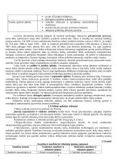 Išsami teorija personalo vadyba 5 puslapis