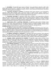 Išsami teorija personalo vadyba 10 puslapis