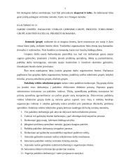 Personalo įdarbinimo anketos, klausimynai, CV 7 puslapis