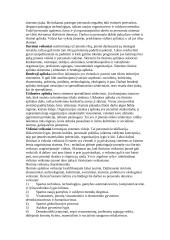 Personalo vadybos samprata, turinys ir uždaviniai 6 puslapis