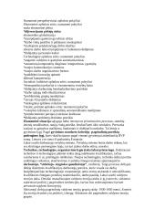 Personalo vadybos samprata, turinys ir uždaviniai 7 puslapis