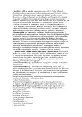 Personalo vadybos samprata, turinys ir uždaviniai 8 puslapis