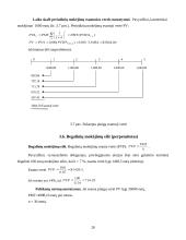 Pinigų laiko vertė ir jų politika 20 puslapis