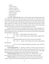 Pinigų laiko vertė ir jų politika 6 puslapis