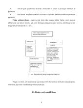 Pinigų laiko vertė ir jų politika 8 puslapis