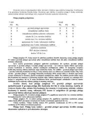 Pinigų teorija 3 puslapis