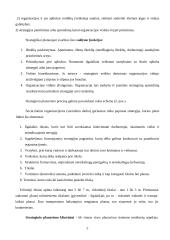 Planavimas ir valdymas 3 puslapis