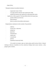 Planavimas ir valdymas 9 puslapis