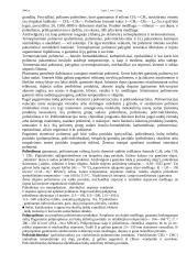 Plastmasinės medžiagos ir gaminiai 2 puslapis