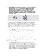 Polimerų teorija, cheminės lygtys 7 puslapis