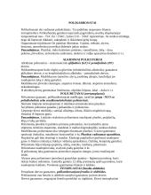 Polimerai, plastikai ir ūkinės paskirties plastikiniai gaminiai 13 puslapis