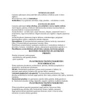 Polimerai, plastikai ir ūkinės paskirties plastikiniai gaminiai 15 puslapis