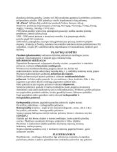 Polimerai, plastikai ir ūkinės paskirties plastikiniai gaminiai 3 puslapis