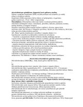 Polimerai, plastikai ir ūkinės paskirties plastikiniai gaminiai 9 puslapis