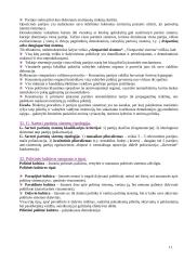 Politika ir politikos mokslas 11 puslapis