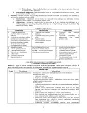 Politologijos įvadas teorija 4 puslapis