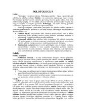 Politologija – socialinis mokslas