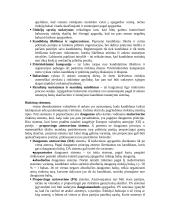 Politologija – socialinis mokslas 11 puslapis