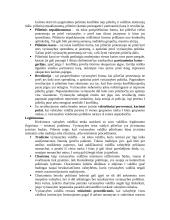 Politologija – socialinis mokslas 3 puslapis