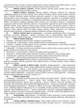 Politologija - interesų grupės 2 puslapis