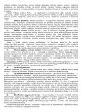 Politologija - interesų grupės 3 puslapis