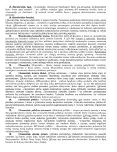 Politologija - interesų grupės 4 puslapis