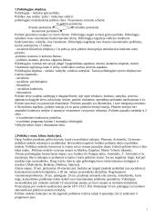 Politologija. Politinė sistema
