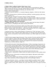 Politologija. Politinė sistema 2 puslapis