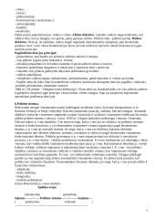 Politologija. Politinė sistema 4 puslapis