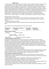 Politologija. Politinė sistema 5 puslapis